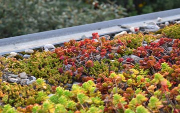 the cost of Redtye green roof installation