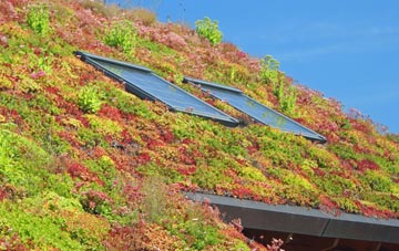 Redtye living roof systems