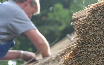 professional Redtye thatchers